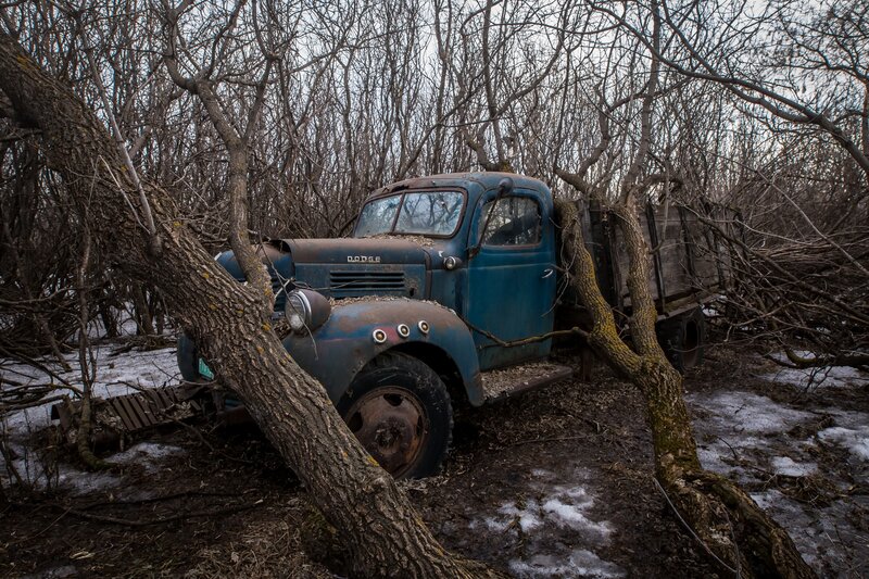 Abandoned Blue Truck — Desolate
