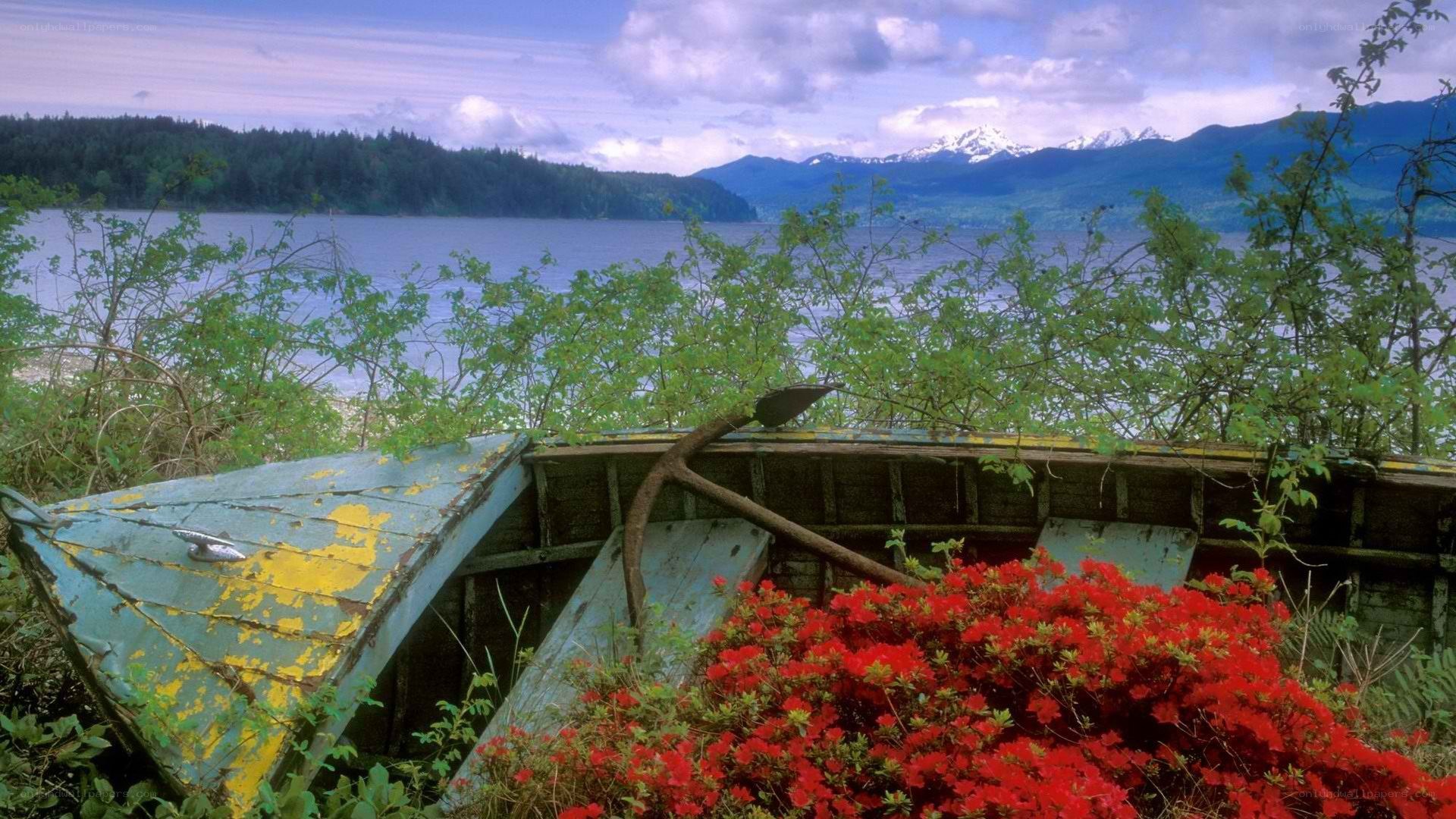 Abandoned boat by a lake