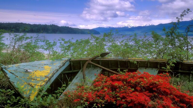 Abandoned boat by the lake