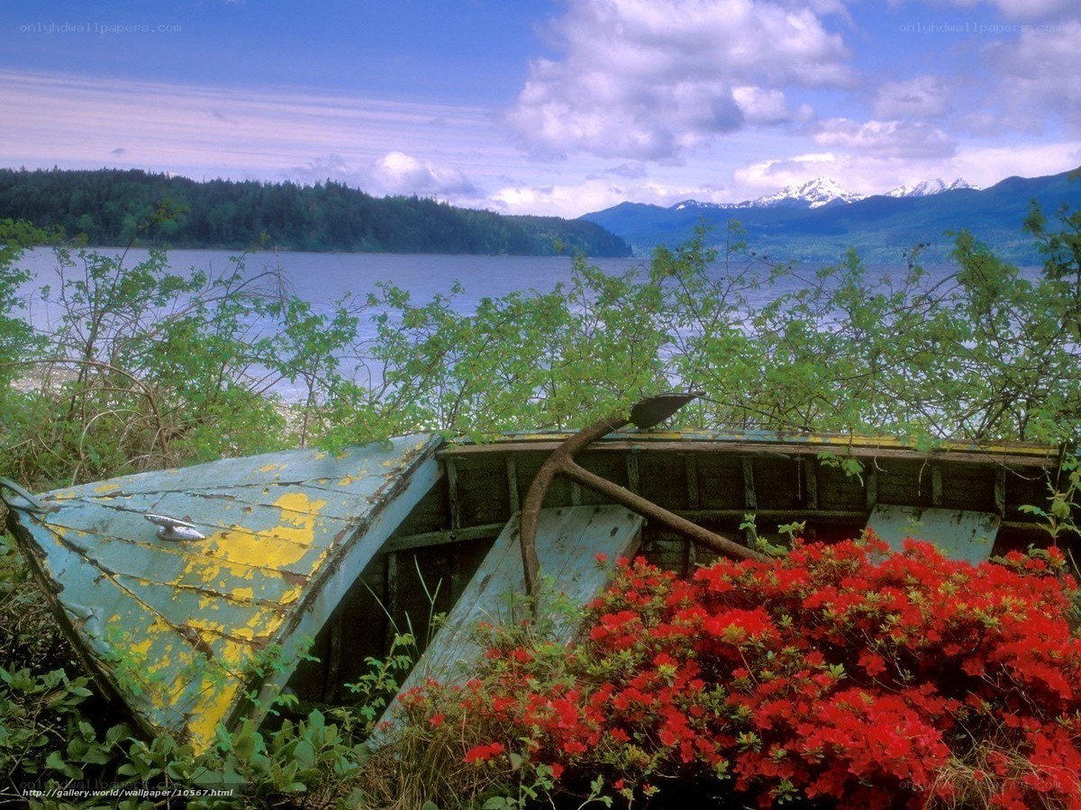 Abandoned boat by the lake
