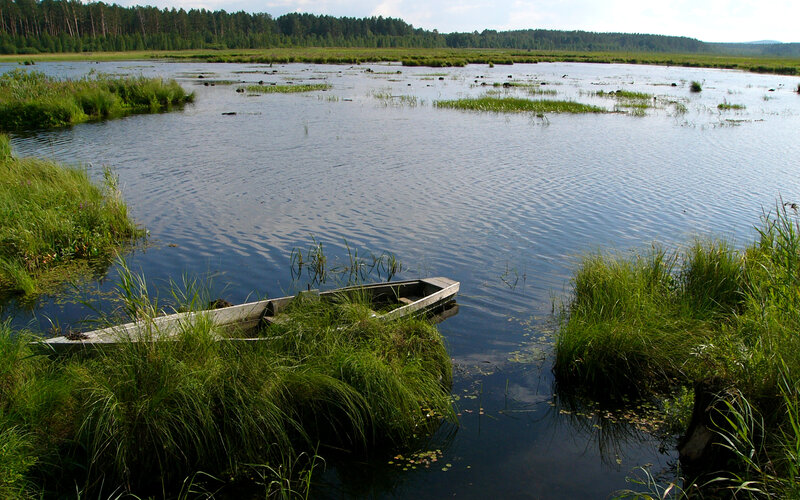 Abandoned boat in a marsh