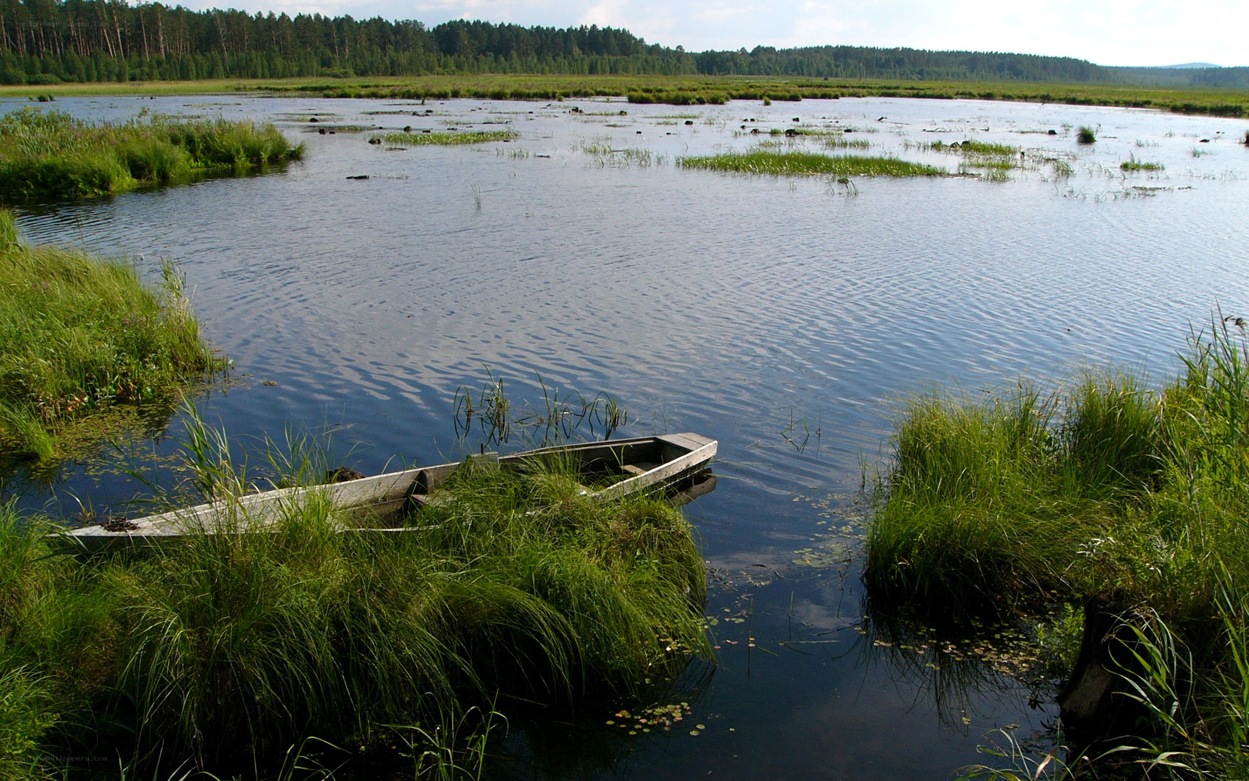 Abandoned boat in a marsh