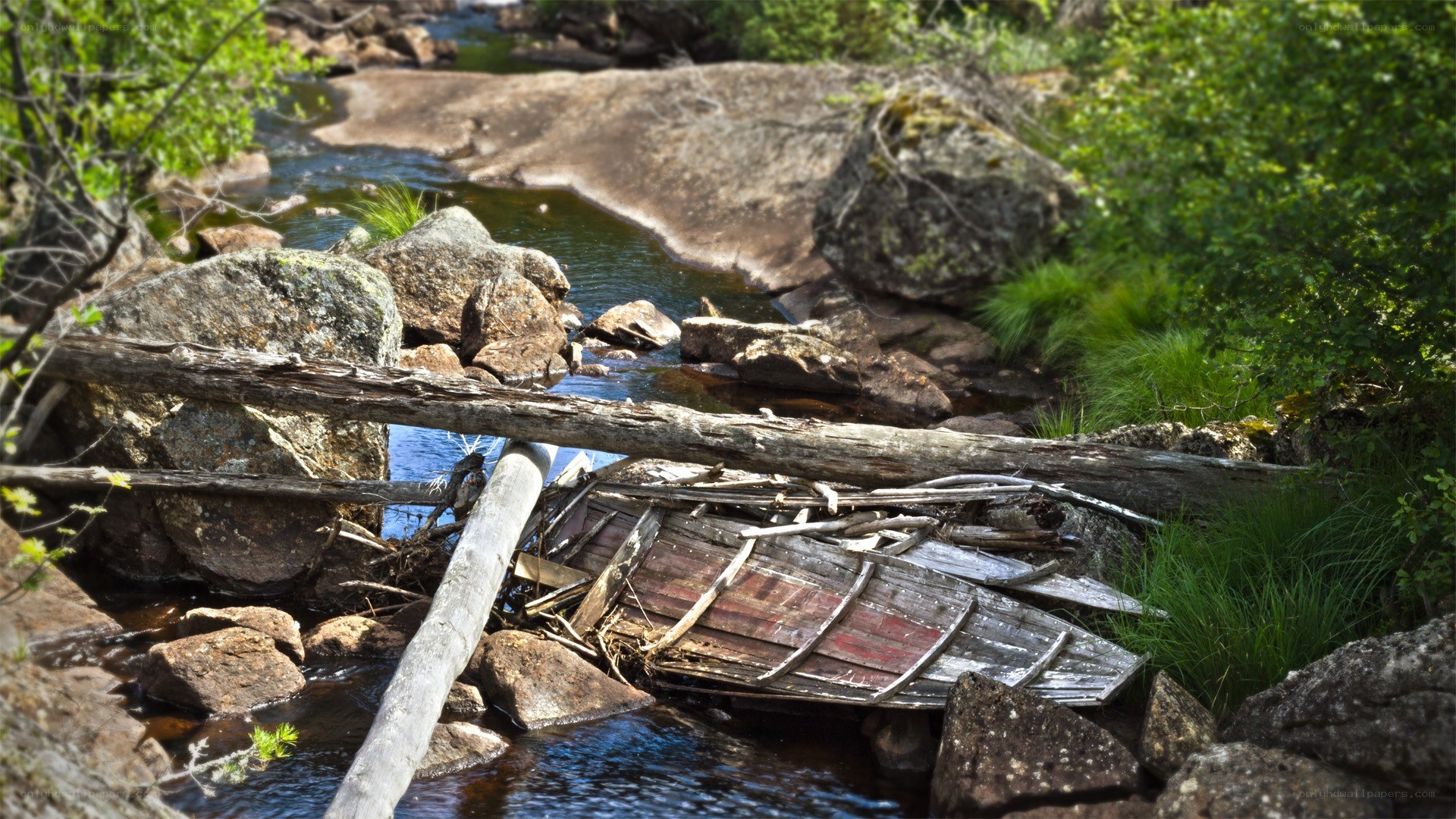 Abandoned boat in a stream