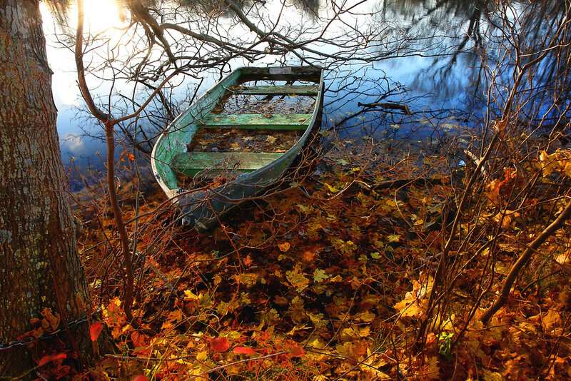Abandoned boat in autumn leaves
