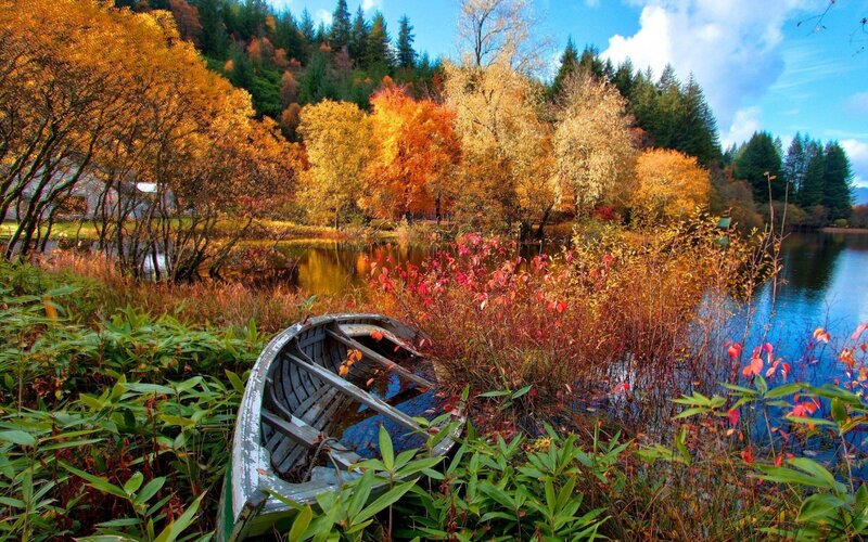 Abandoned Boat in Autumn — Orange