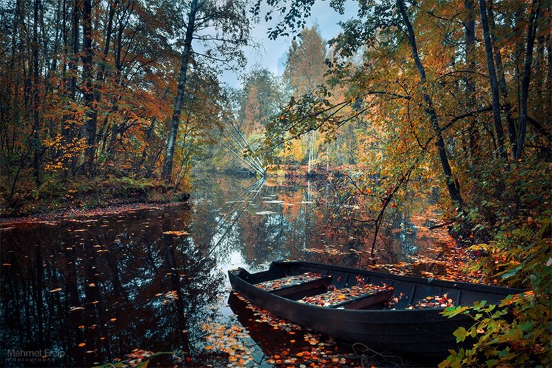 Abandoned Boat in Autumn