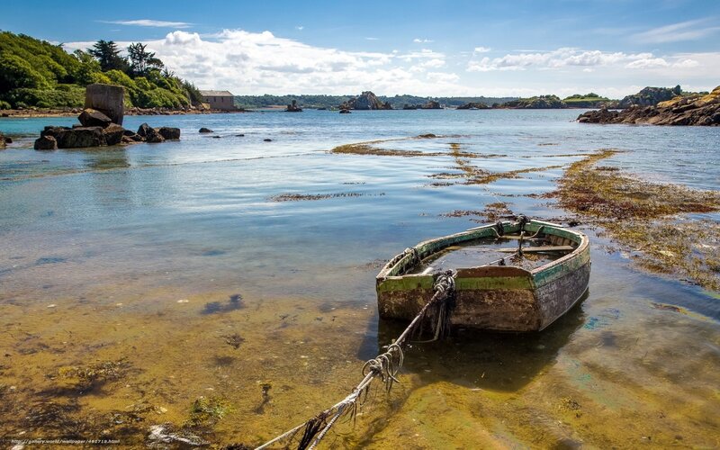 Abandoned boat in coastal cove