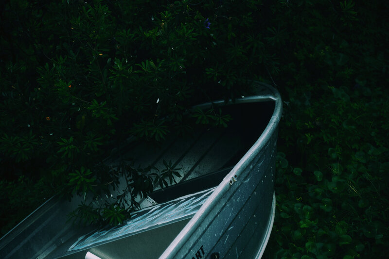 Abandoned boat in foliage