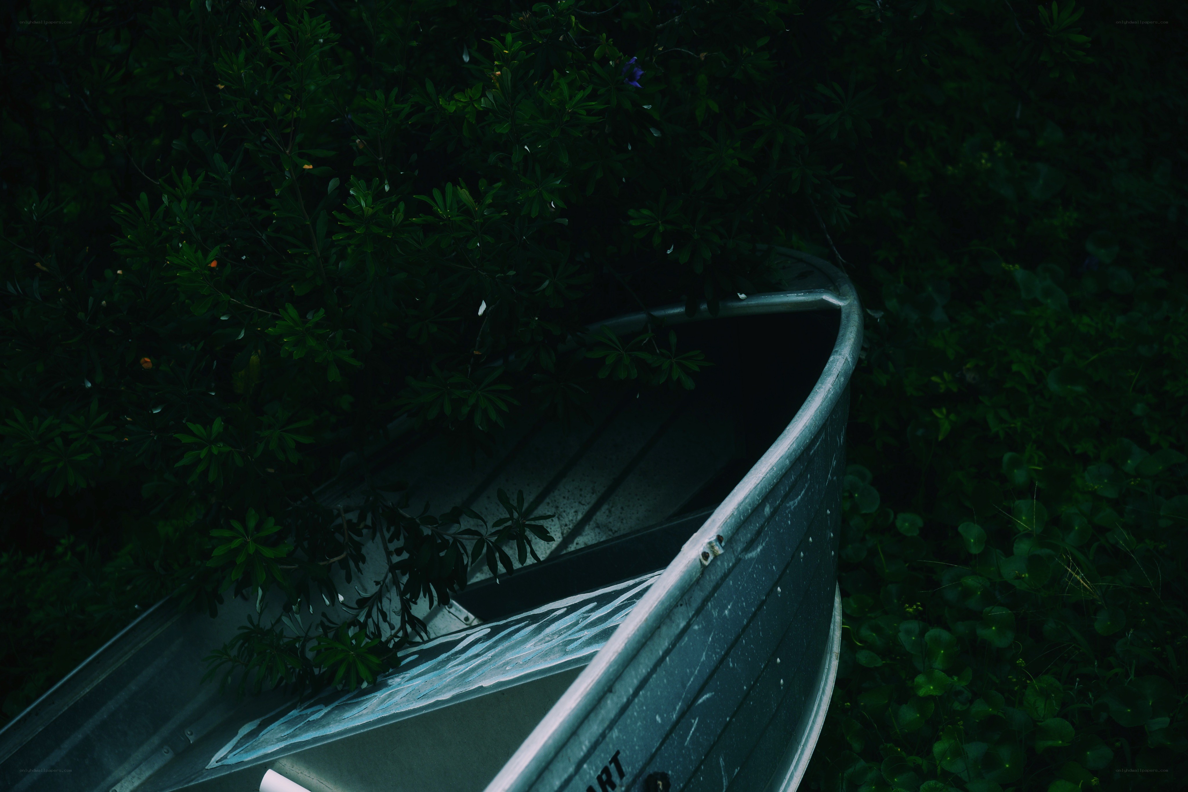 Abandoned boat in foliage
