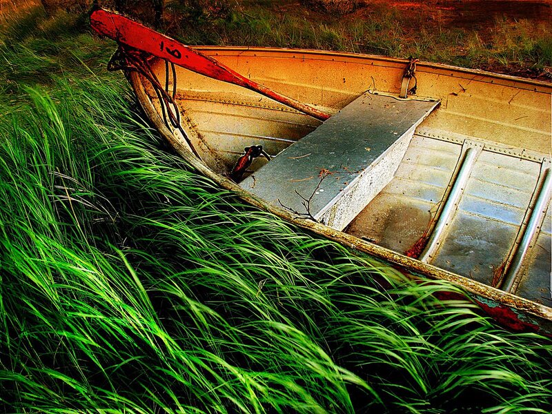 Abandoned Boat in Grass