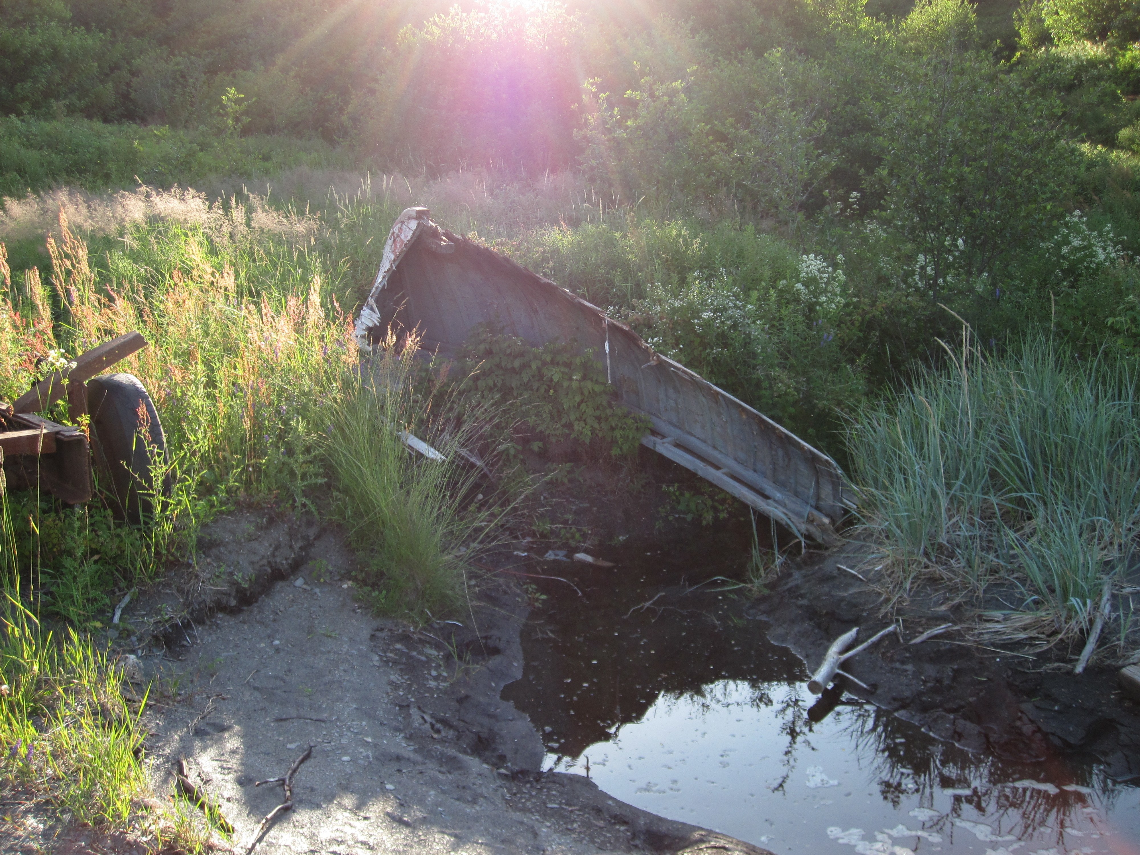 Abandoned boat in overgrown marsh
