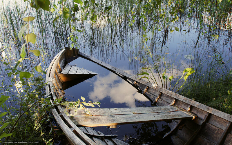 Abandoned boat in reeds