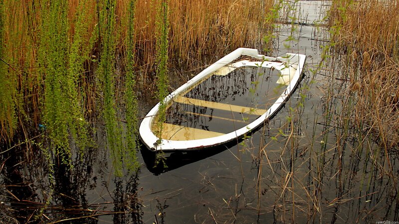 Abandoned boat in reeds