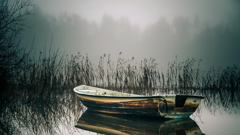 Abandoned Boat in Reeds — Gray