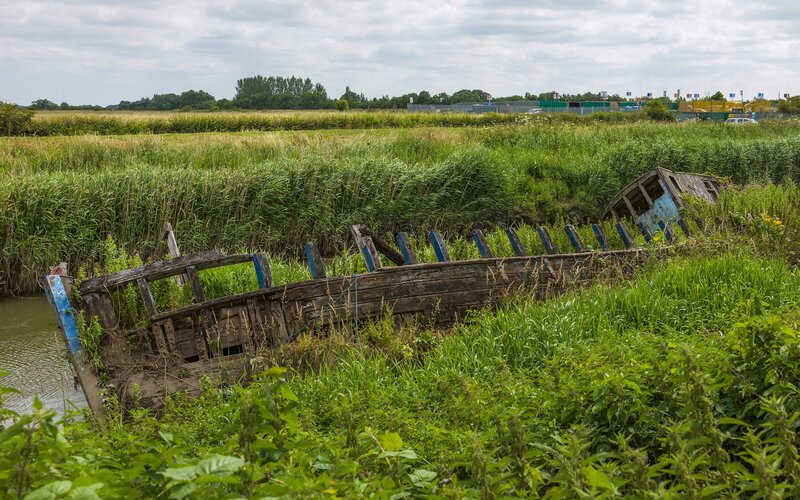 Abandoned Boat in Reeds — Green