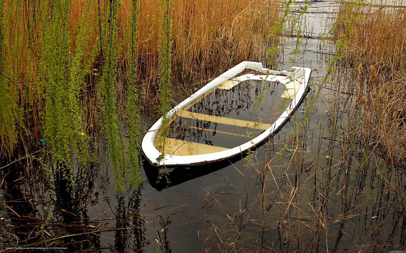 Abandoned boat in reeds