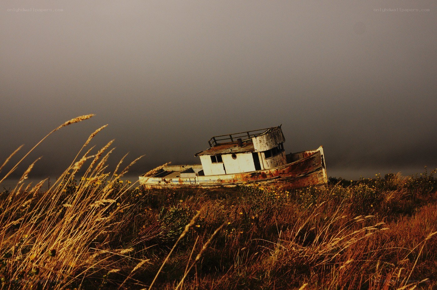 Abandoned boat on a grassy hill