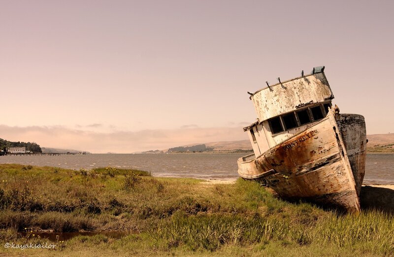 Abandoned boat on a marshy shore