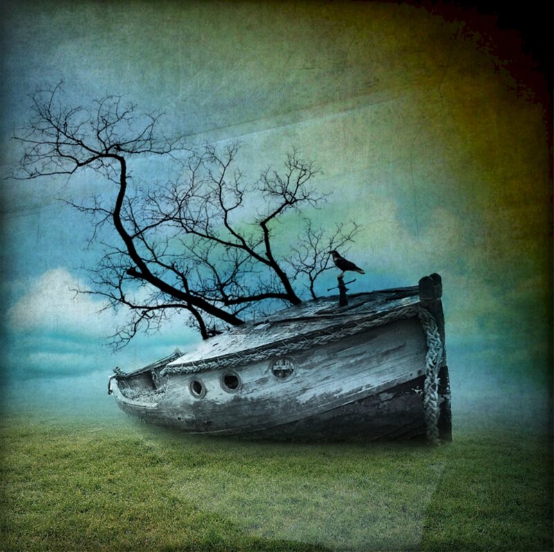 Abandoned Boat on Grass — Green