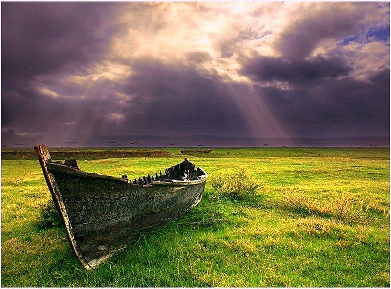 Abandoned Boat on Grass