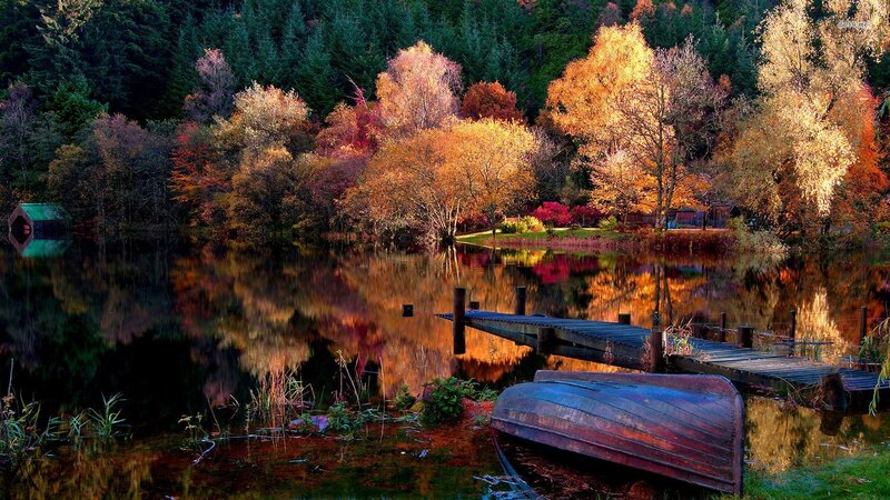 Abandoned Boat on Lake — Orange