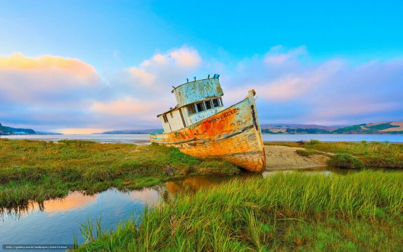 Abandoned boat on marshland