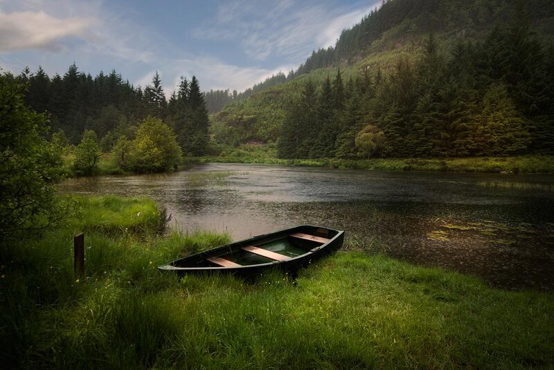Abandoned Boat on Riverbank — Green