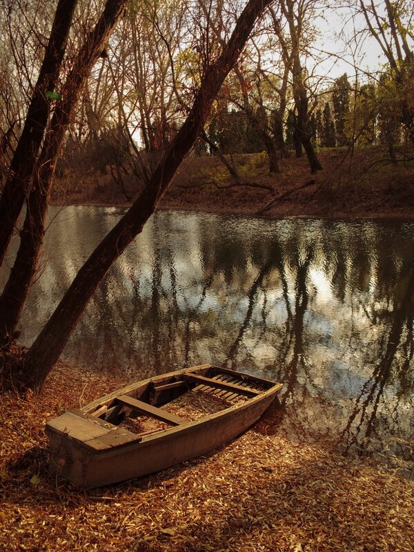 Abandoned Boat on Shore — Brown, Serene, Autumn