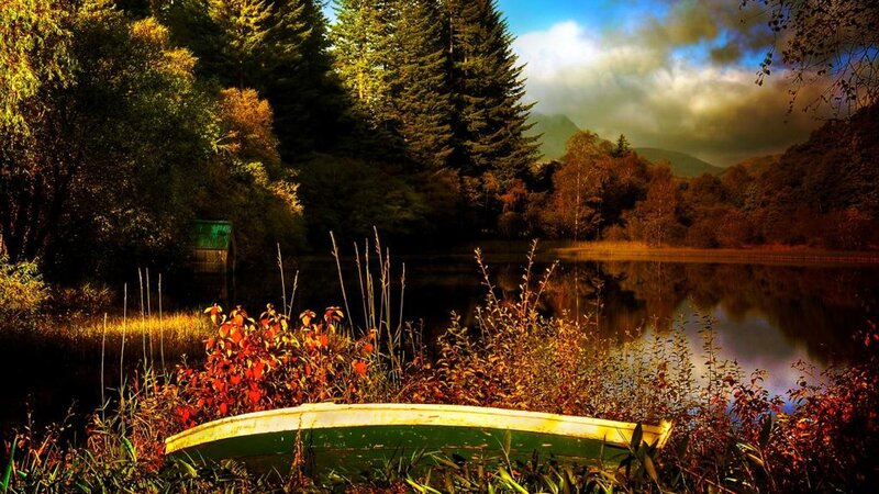 Abandoned Boat on Shore — Green, Dramatic, Autumn