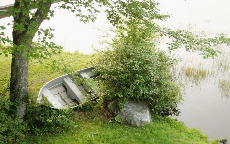 Abandoned Boat on Shore — Green, Serene, Summer