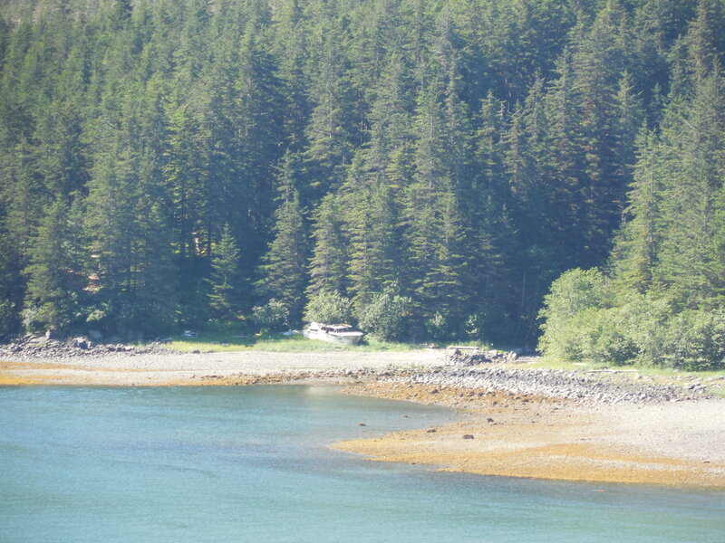 Abandoned Boat on Shore — Green, Serene
