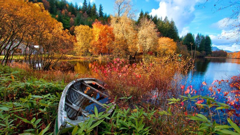 Abandoned Boat on Shore — Orange, Serene