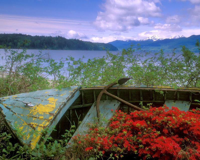 Abandoned Boat on Shore — Red