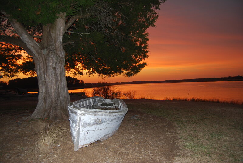 Abandoned Boat under Tree