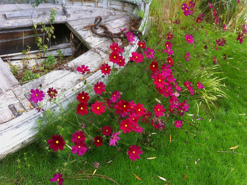 Abandoned Boat with Flowers