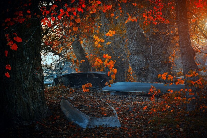 Abandoned Boats in Forest — Red, Dramatic