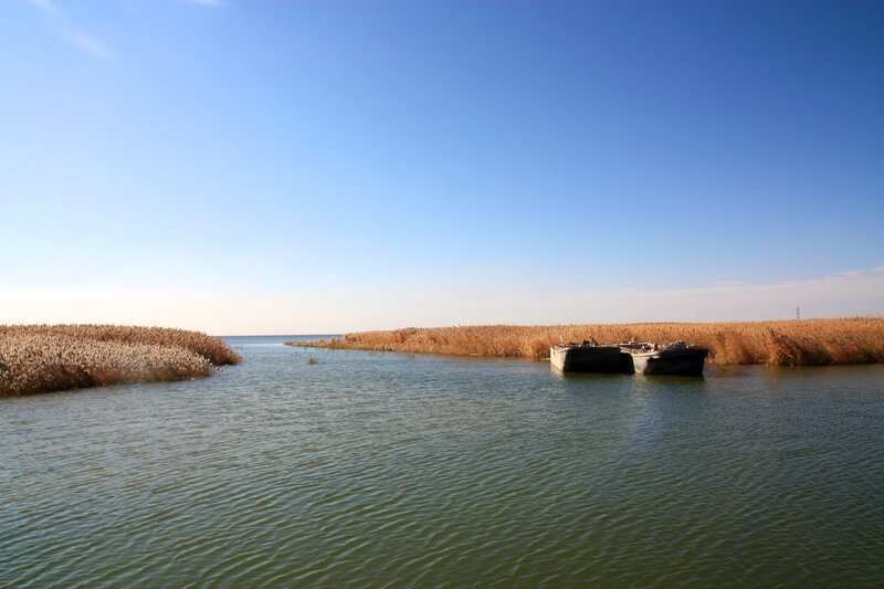 Abandoned Boats in Reeds