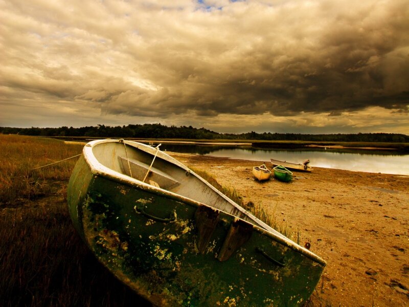Abandoned boats on a marshy shore