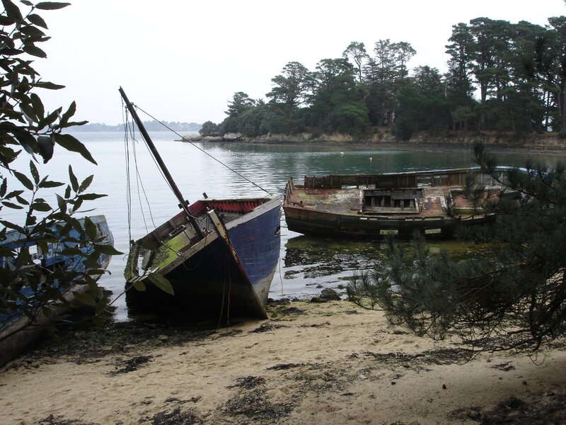 Abandoned boats on a quiet shore
