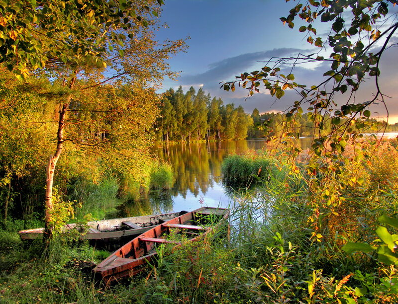 Abandoned Boats on Shore — Green