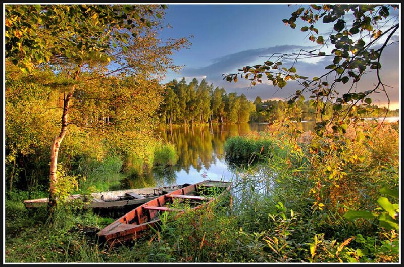 Abandoned Boats on Shore
