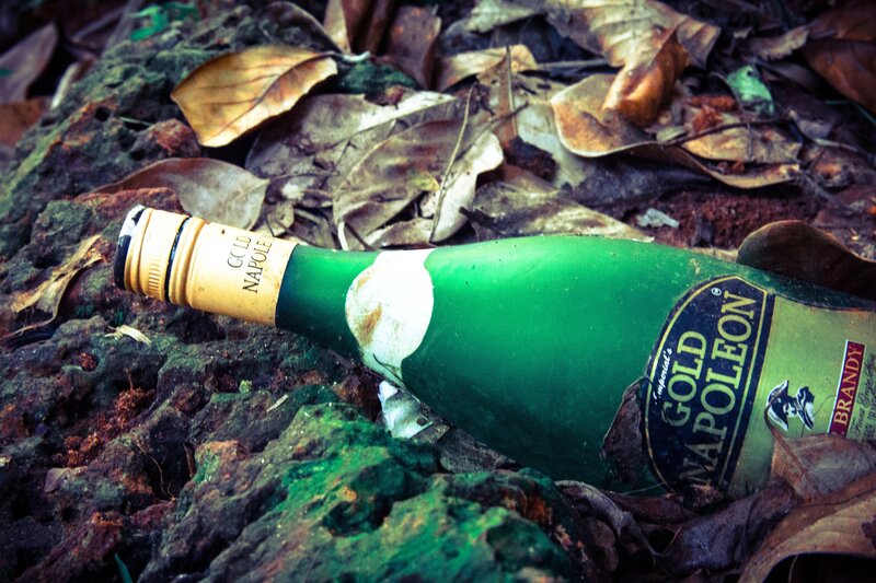 Abandoned bottle in forest