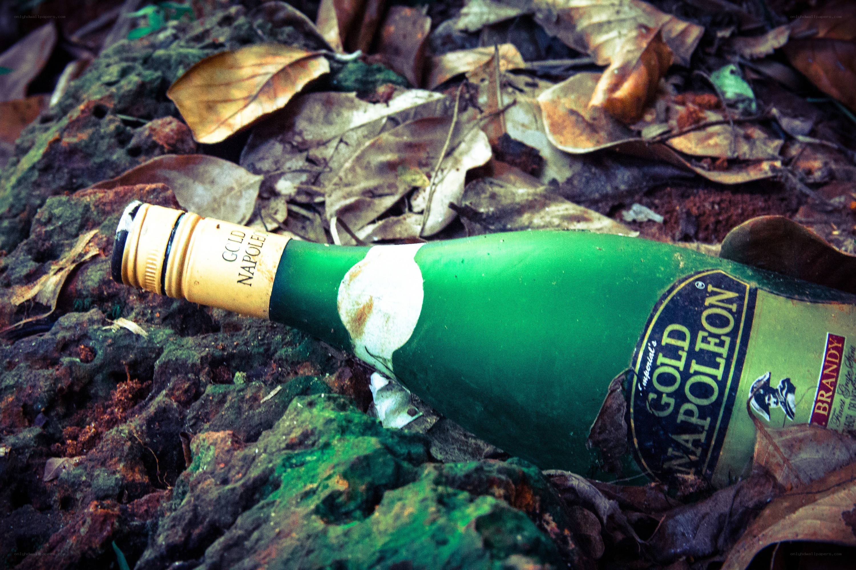 Abandoned bottle in forest