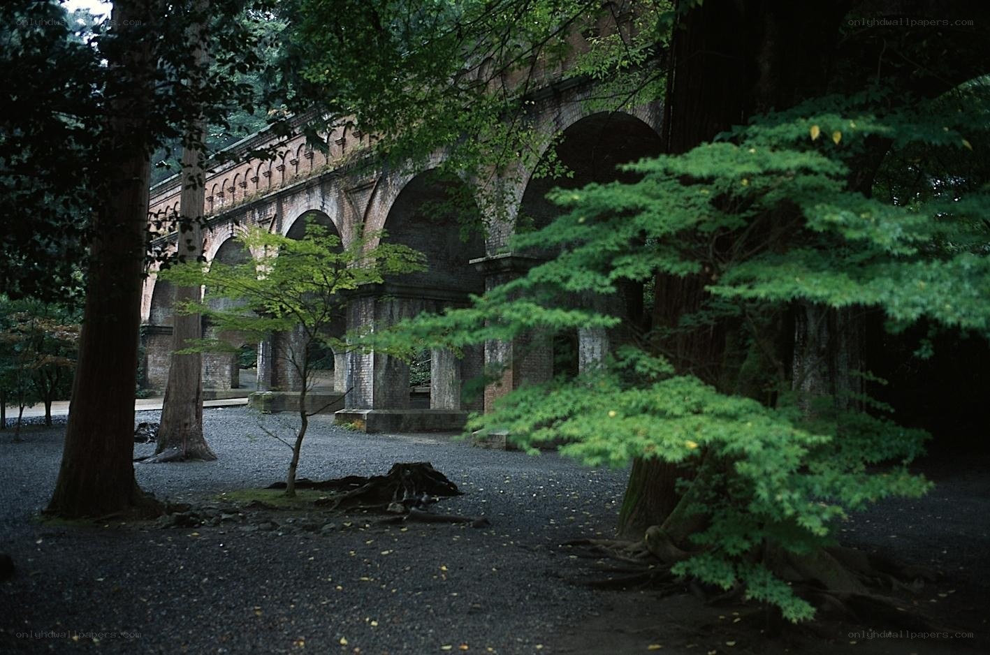 Abandoned brick aqueduct in forest