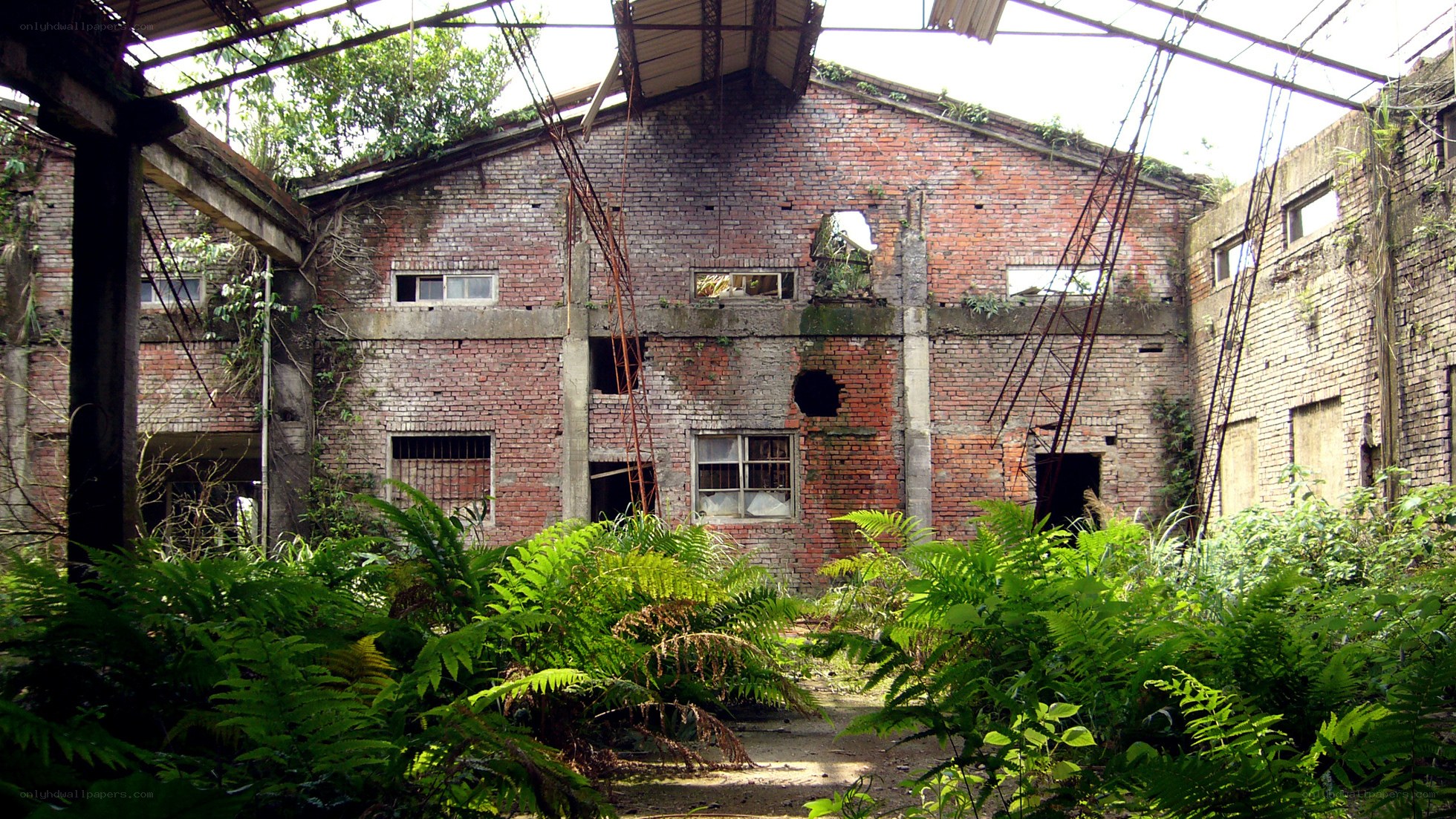 Abandoned brick building overgrown with plants