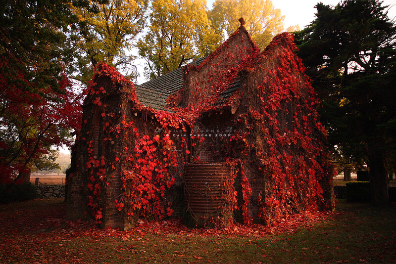 Abandoned Brick Building — Red