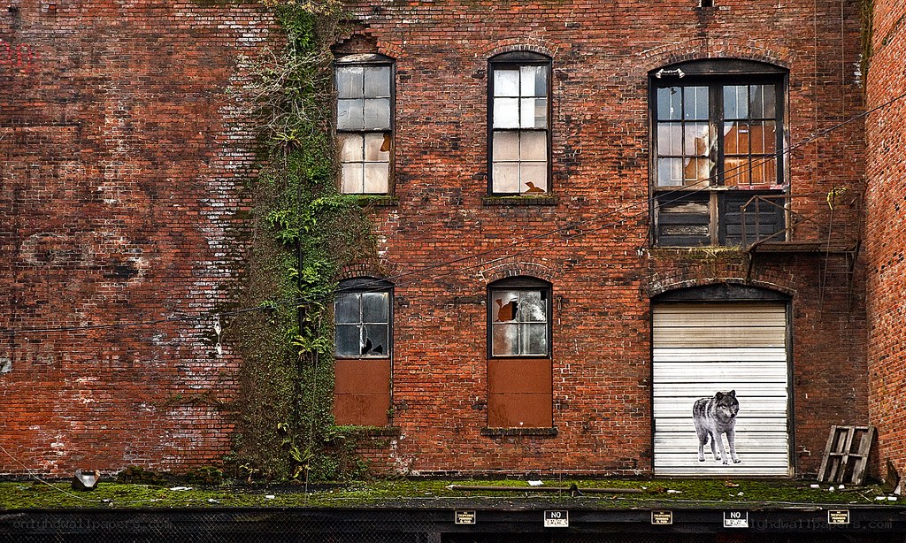 Abandoned brick building with wolf mural