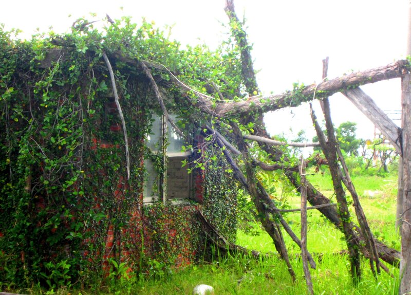 Abandoned Brick Hut