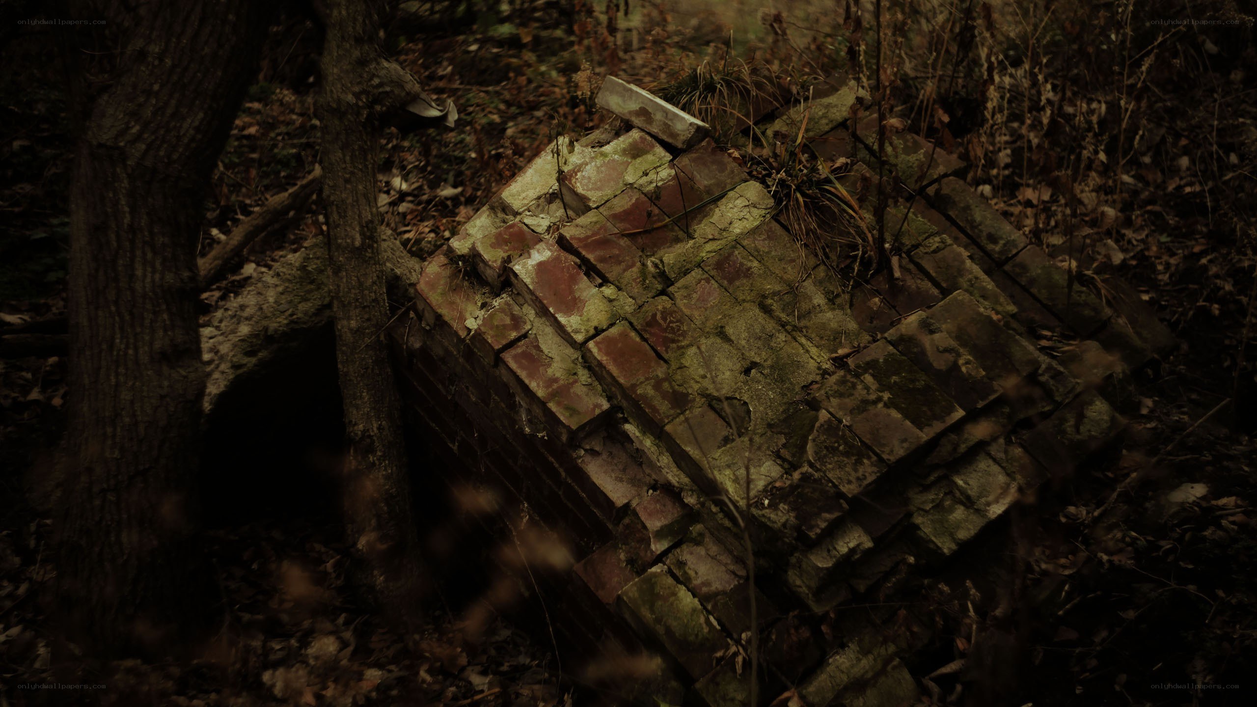 abandoned brick structure in forest