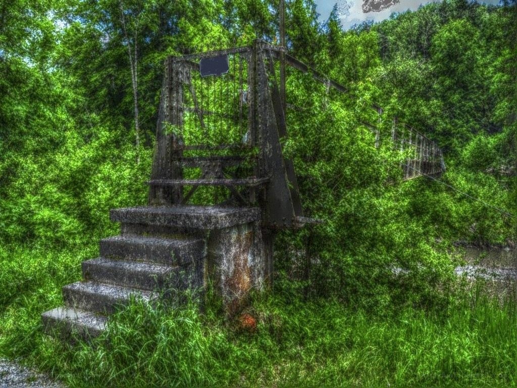 abandoned bridge in forest